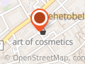 Art of Cosmetics