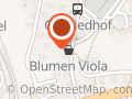 Blumen Viola