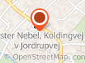 V.N. Pizza