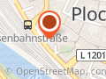 BLACK FALCONS Plochingen