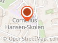 Cornelius Hansen Skolen - dansk