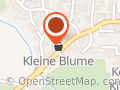 Kleine Blume & Blumenautomat 24Std 7Tg die Woche geöffnet