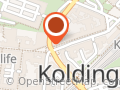 Danske Fysioterapeuter, Region Syddanmark