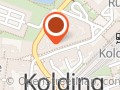Selskabet Børnenes Vel Børne- og Ungdomsfond I Fredericia