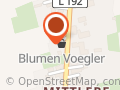 Blumen Vogeler