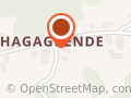 Kvålshaugen Randi Ingeborg