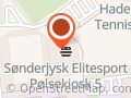 Sønderjysk Udviklingssamarbejde A/S