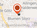 Blumen Storz