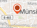 Stadt Münsingen