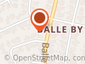 Balle Dyreklinik