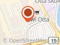 Kiwi Otta