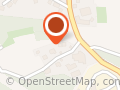 Waldhunde – GEMEINSAM UNTERWEGS