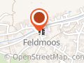 Kindergarten Feldmoos