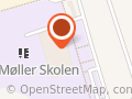 A. P. Møller-Skolen - dansk gymnasium