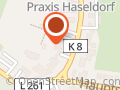 Turnverein Haseldorf