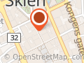 Extinct Tattoo Skien