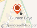 Blumen-Beye