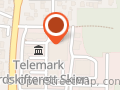 Skien håndbak klubb