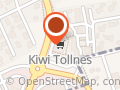 Kiwi Tollnes
