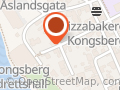 i L Bergkameratene