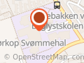 Morgensvøm Børkop