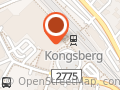 Lop. Avd. Kongsberg Statspensjonistlag