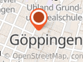 Max und Martha Scheerer- Stiftung