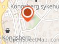 Vestre Viken HF Kongsberg DPS voksenpsykiatrisk avdeling