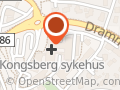 Kongsberg Ønh