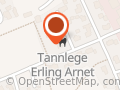 Arnet Erling