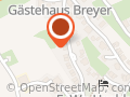 Alt Helmut Taxiunternehmen