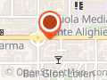 Cani Belli Di Pazzoni Patrizia