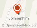 Turnerheim Spinnenhirn