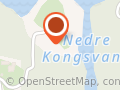Nevrotrening Kinesiologi