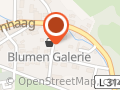 Föller Michael Blumen Galerie