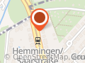 Bergmann P.