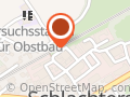 City GmbH