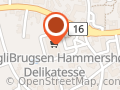 Dagli'Brugsen