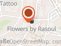 Flowers by Rasoul