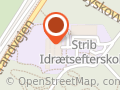 Strib Idrætsefterskole