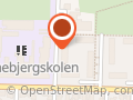 F.H.I. Fredericia Handicap Idrætsforening
