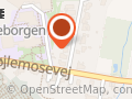 KØRESKOLE, BYENS KØRELÆRER