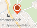 Weihnachtsbaumverkauf Goldbach
