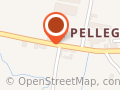 Trattoria Bar Pellegra