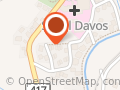 Davos-Kinesiologie
