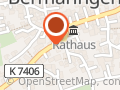 Physio Bermaringen