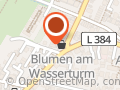 Blumen am Wasserturm