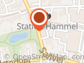Hammel Førtids Og Pensionistforening