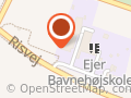 Ejer Bavnehøj Hallen