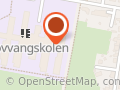 Skovvangskolen